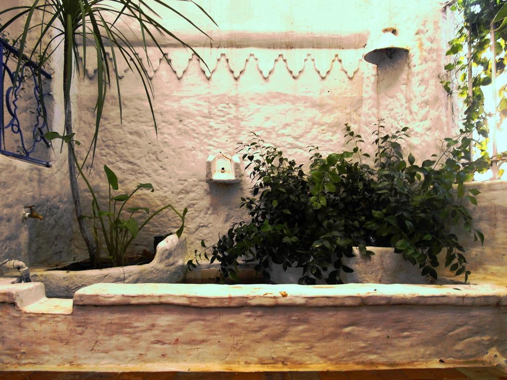 אסילה Patio De La Luna מראה חיצוני תמונה