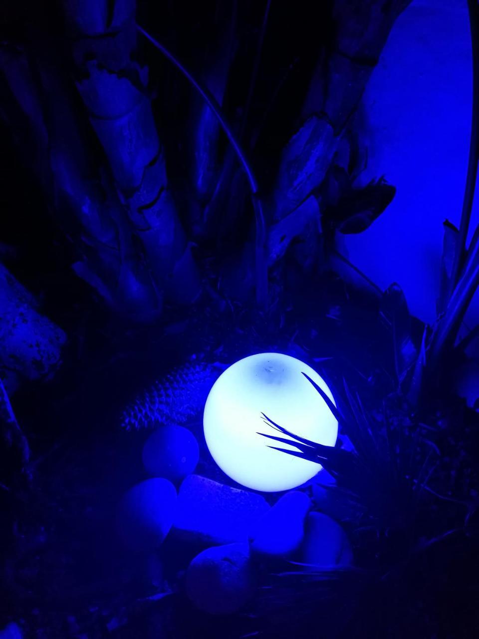 אסילה Patio De La Luna מראה חיצוני תמונה