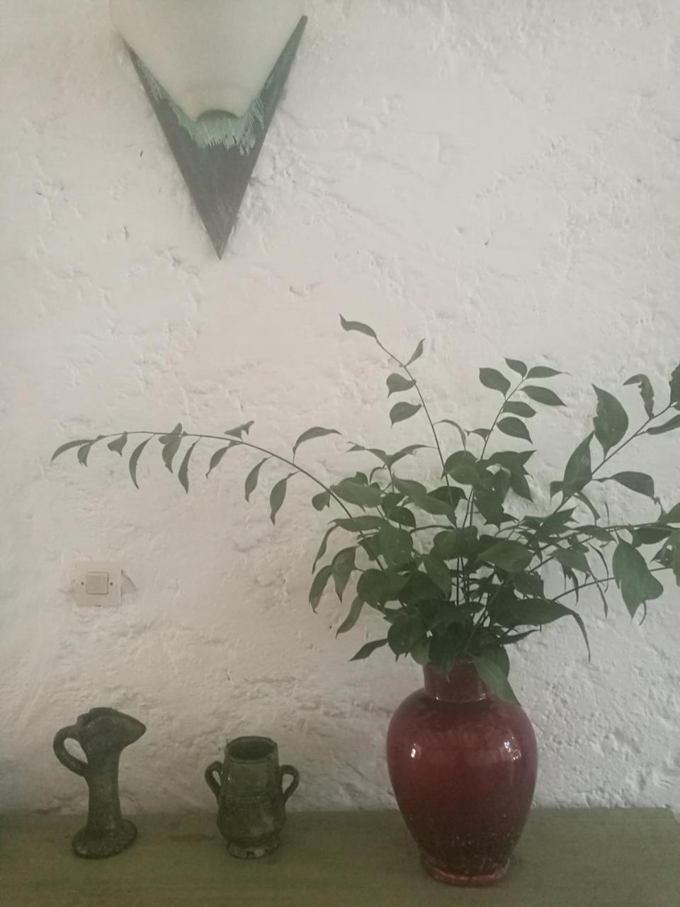 אסילה Patio De La Luna מראה חיצוני תמונה